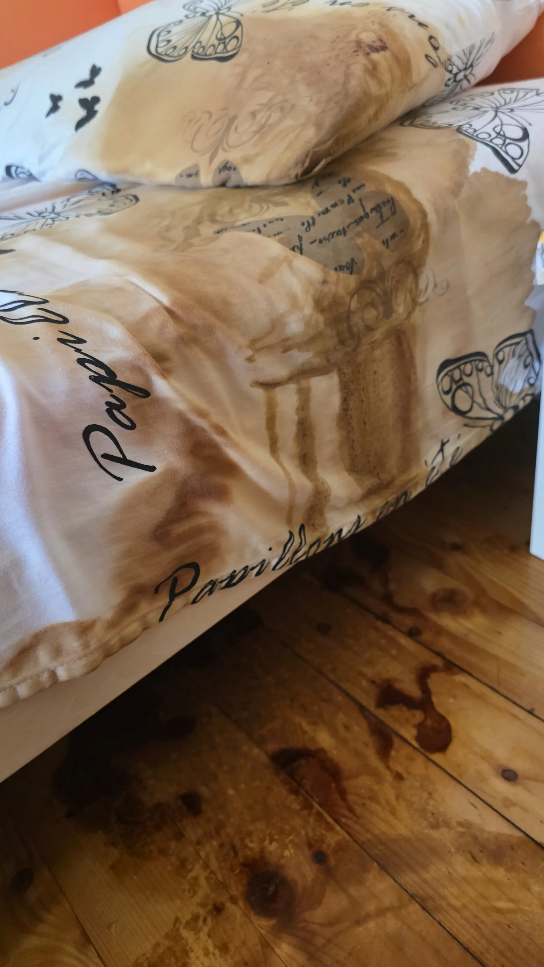 Почистване след смърт с дезинфекция и извозване в Омуртаг