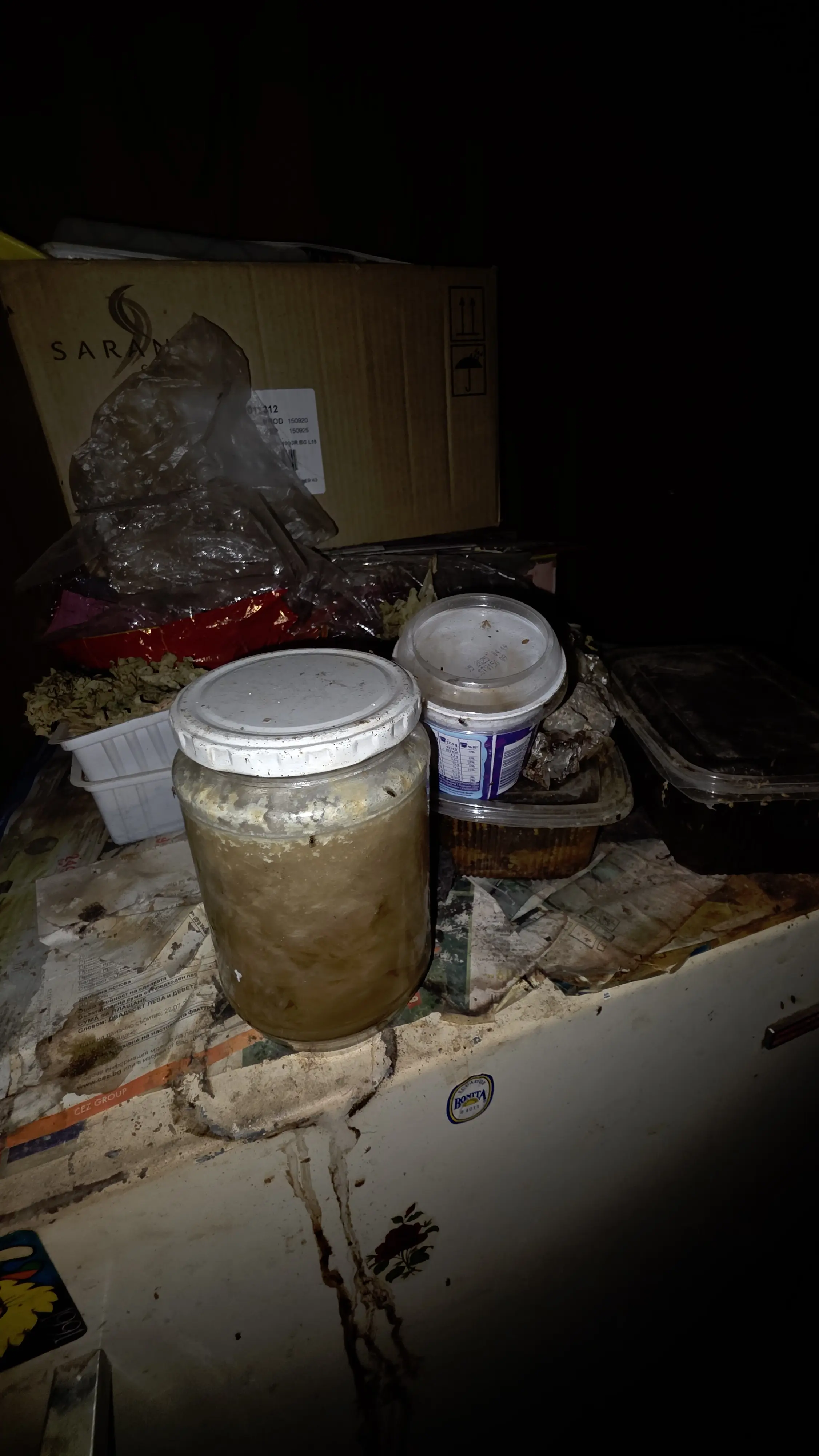 Почистване след психично болни хора в Троян