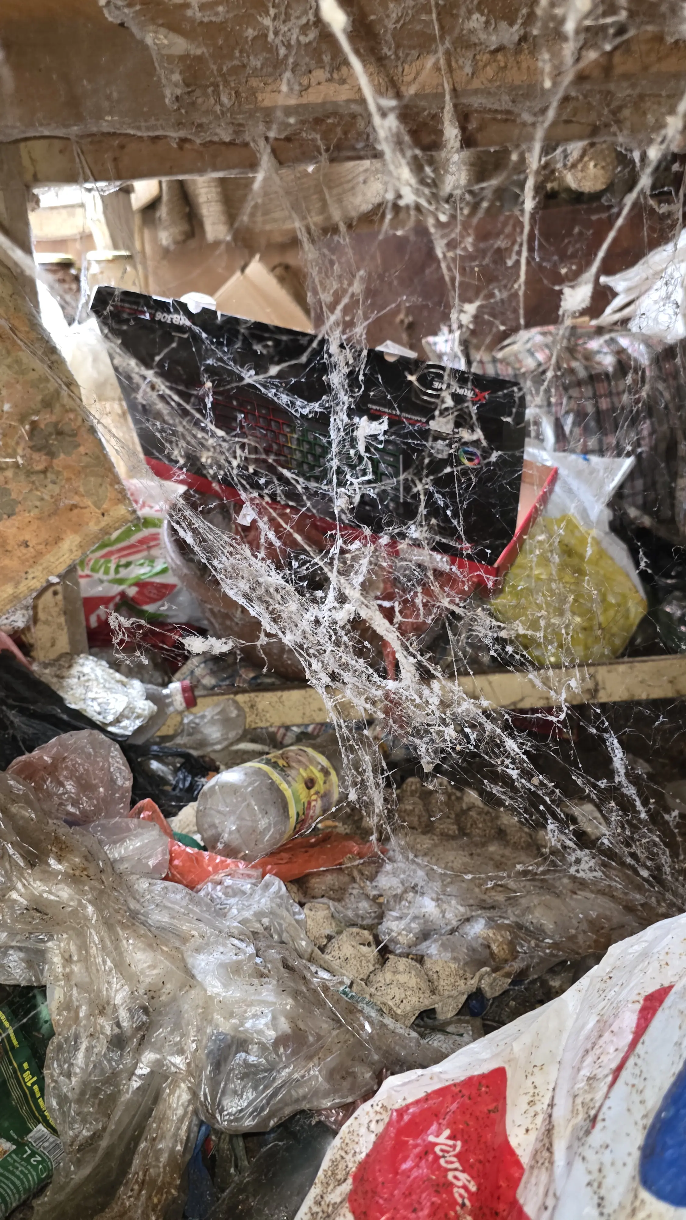 Почистване след психично болни хора в Асеновград