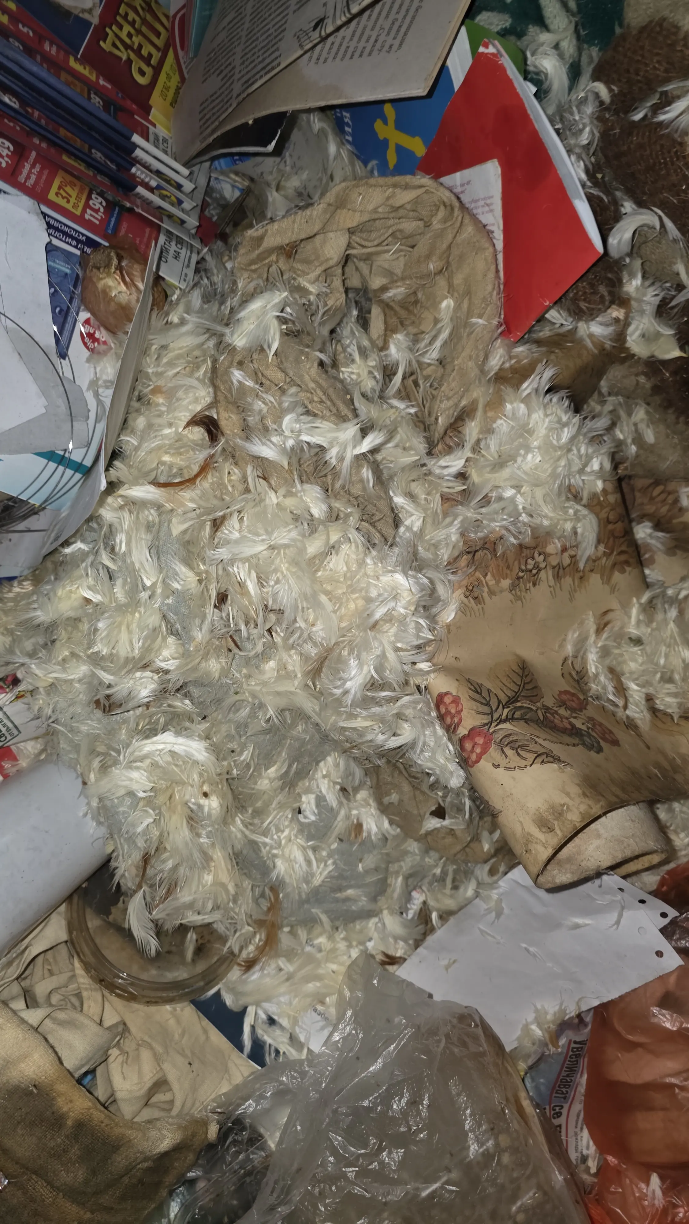 Почистване след боледуване в Кюстендил