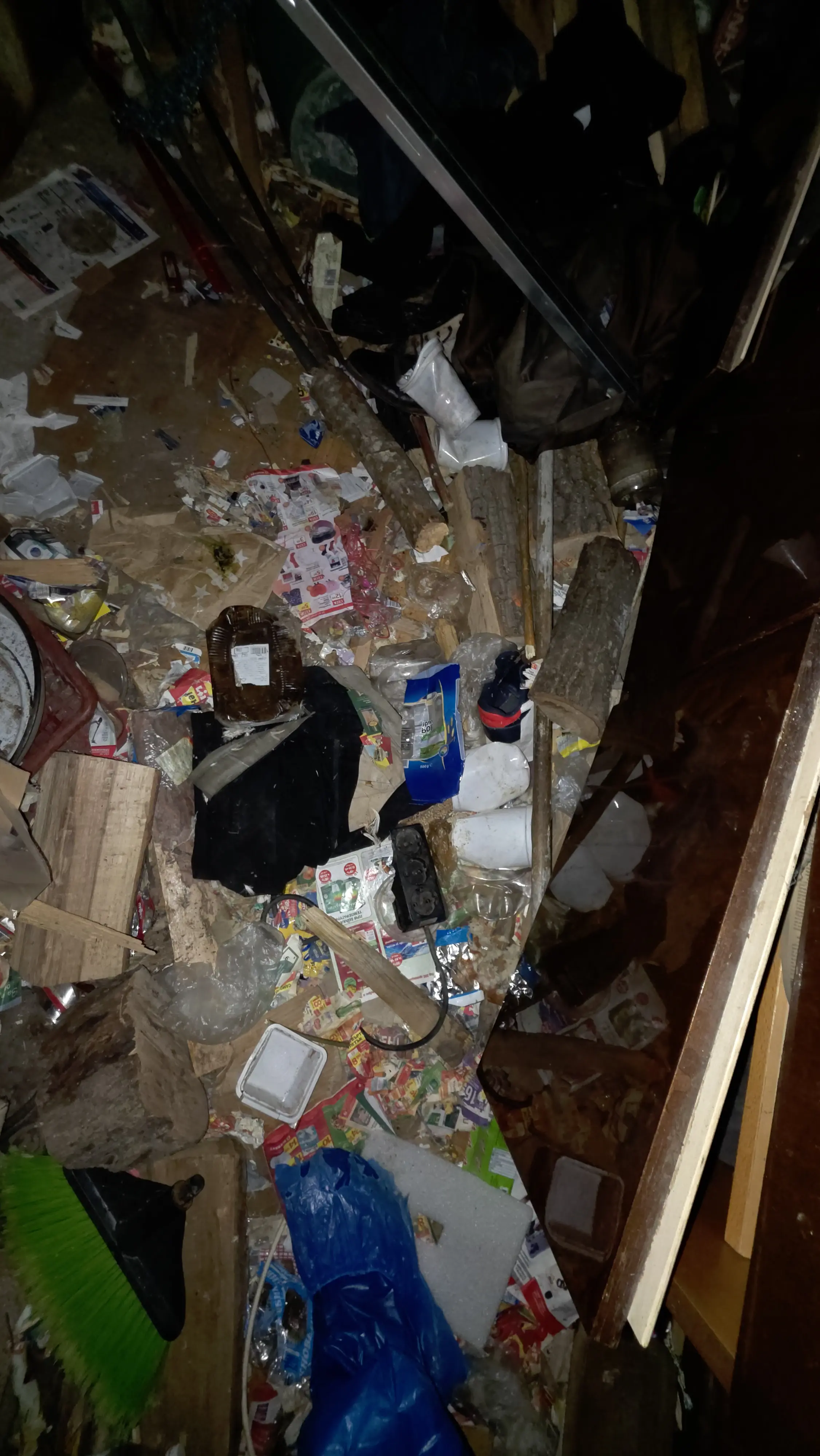 Почистване след боледуване в София