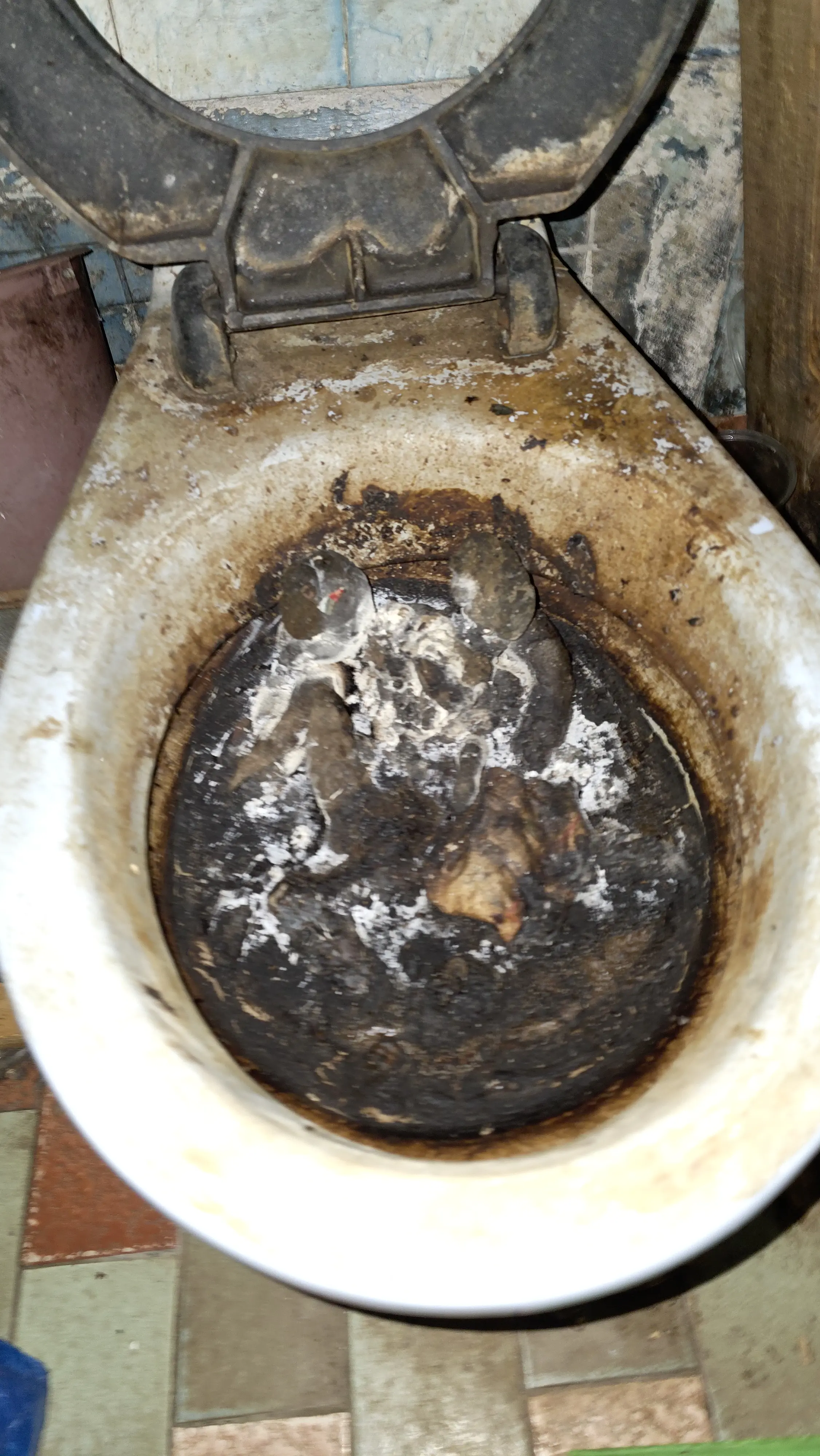 Почистване на клошарско жилище в Ботевград