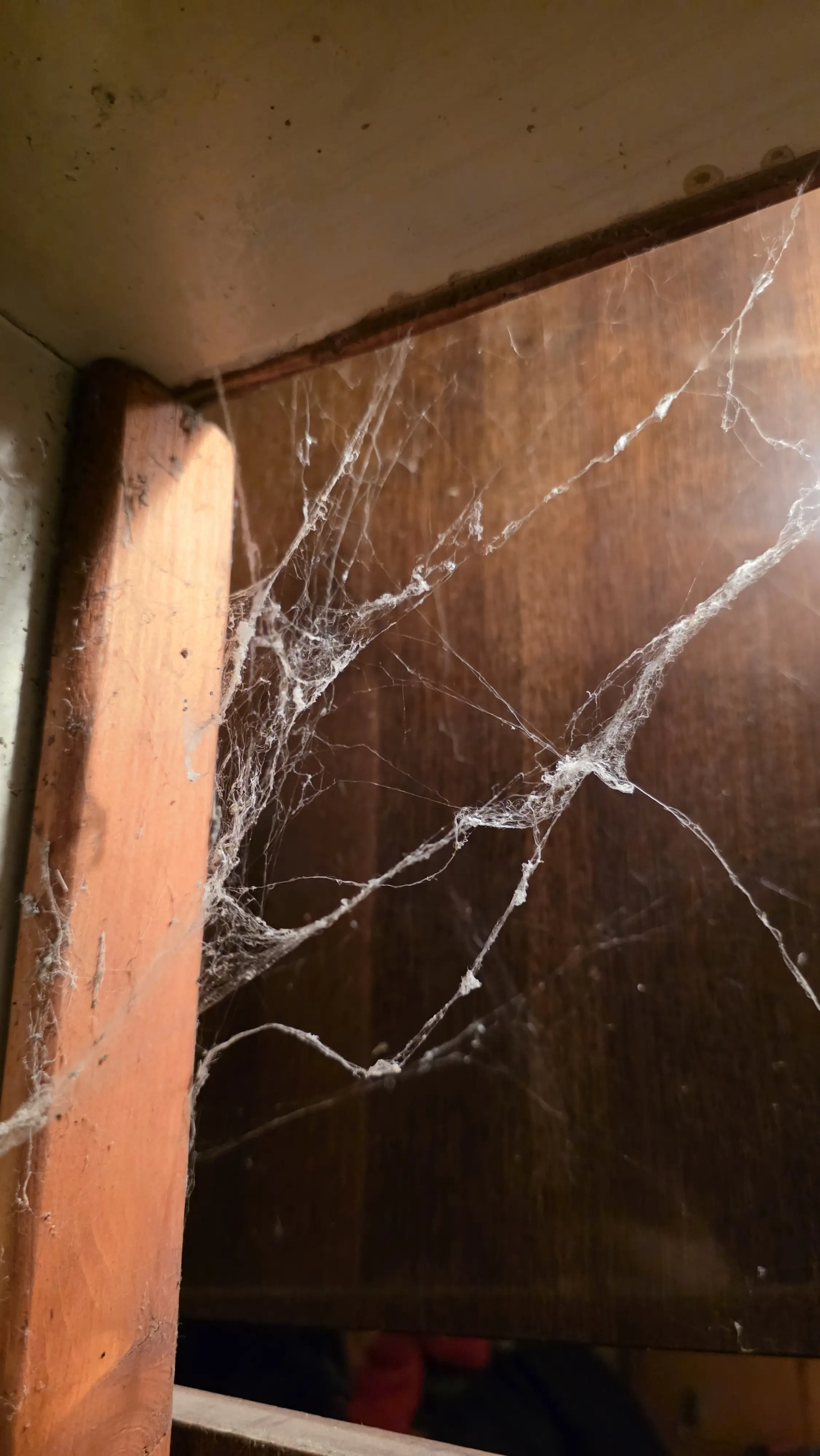 Изпразване на апартаменти с боклук в Несебър