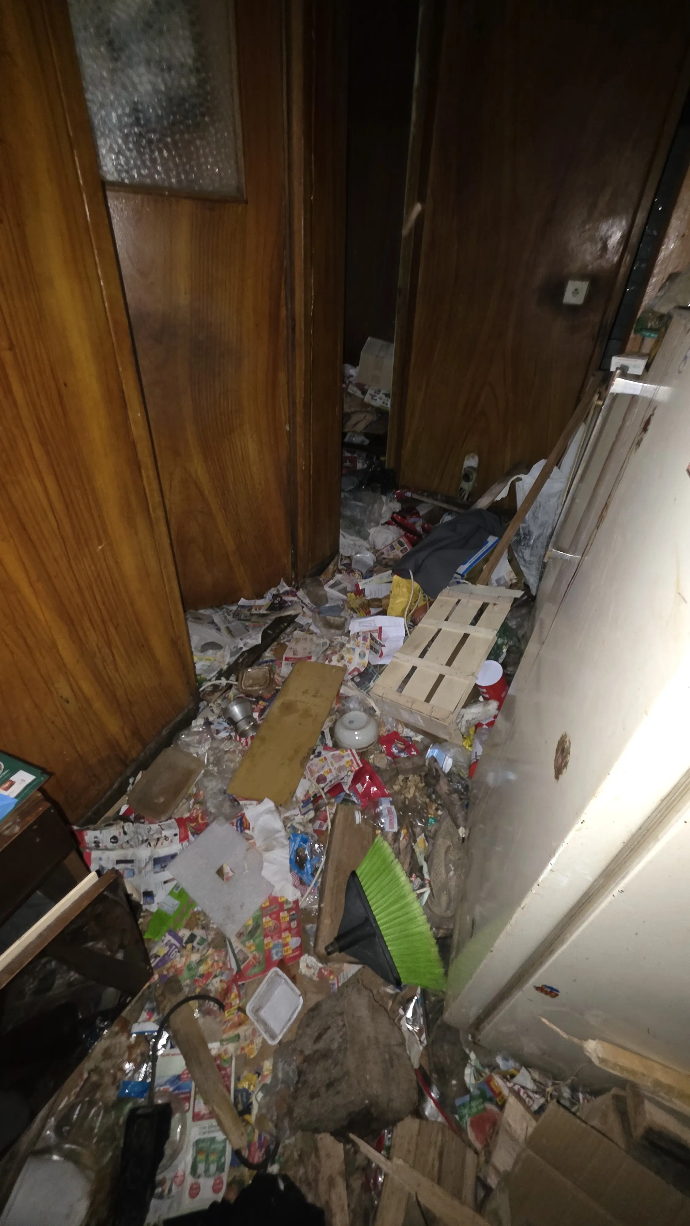 Почистване след психично болни хора в Лом