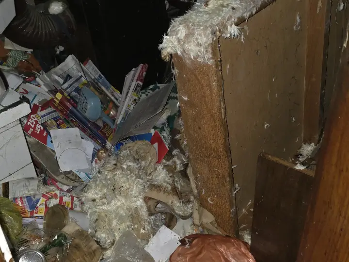Почистване след животни в Аксаково